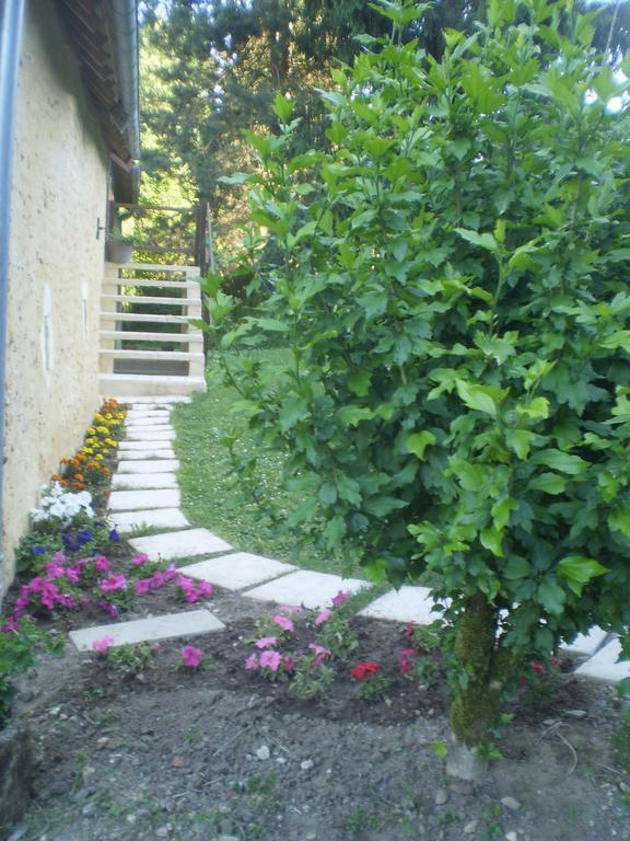 Bed and Breakfast Le Moulin de Monternault à Montreuil-le-Henri Extérieur photo